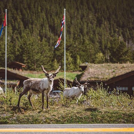 Вілла Saltdal Turistsenter Storjord Екстер'єр фото