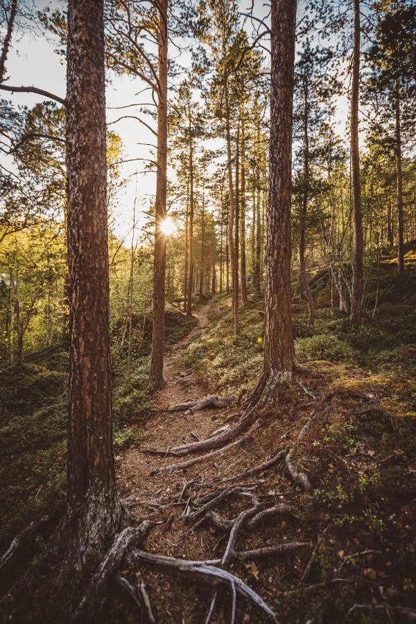 Вілла Saltdal Turistsenter Storjord Екстер'єр фото