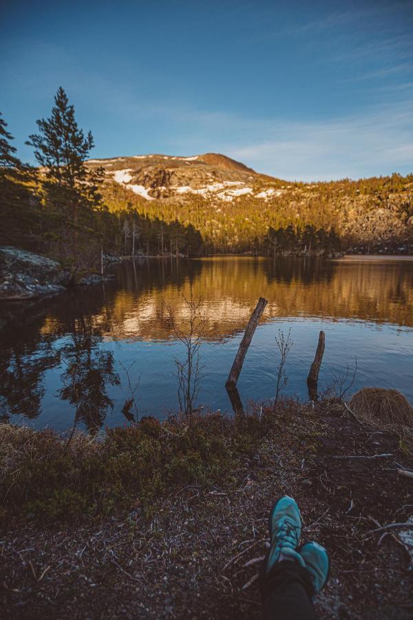 Вілла Saltdal Turistsenter Storjord Екстер'єр фото