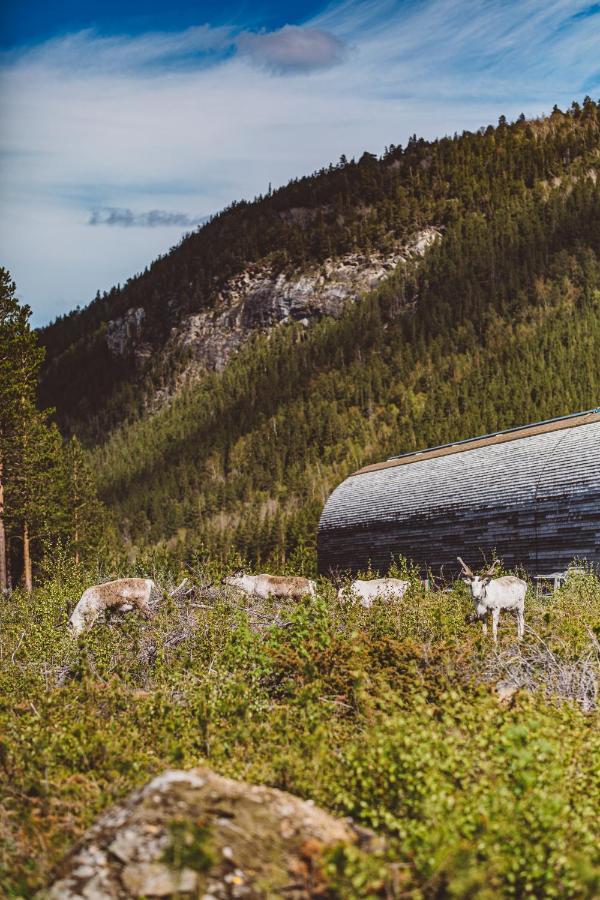 Вілла Saltdal Turistsenter Storjord Екстер'єр фото