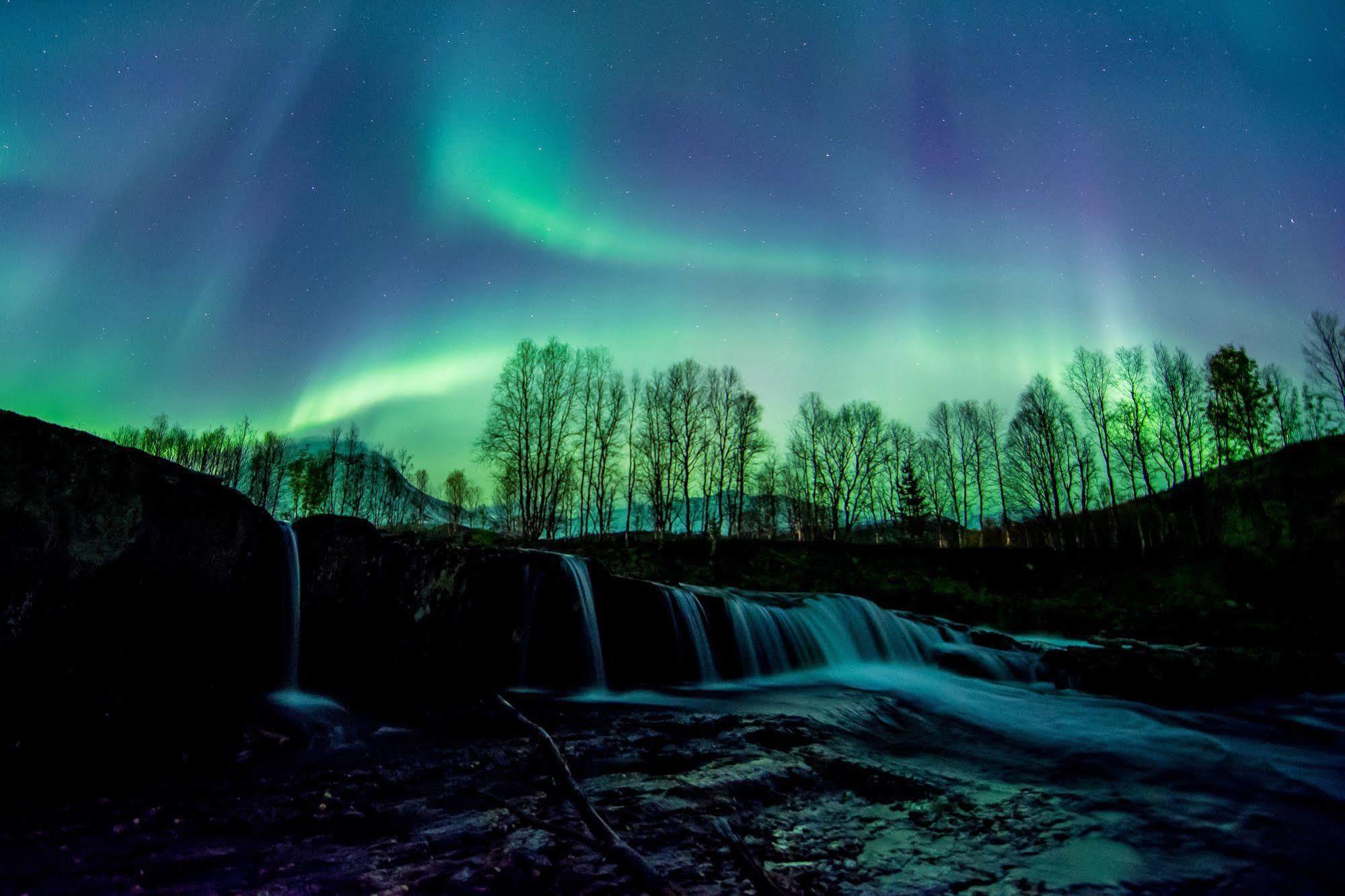 Вілла Saltdal Turistsenter Storjord Екстер'єр фото